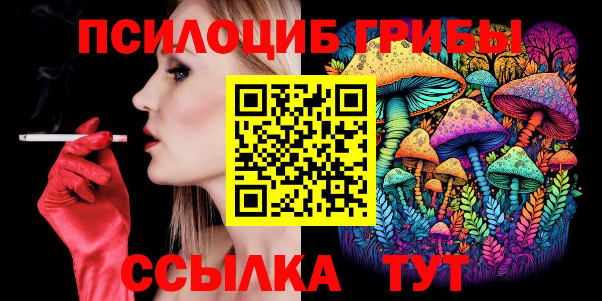 Мценск  цена наркотик  Вход с VPN  Псилоцибиновые грибы мицелий 